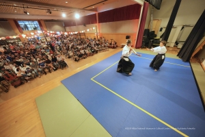Performance-Aikido